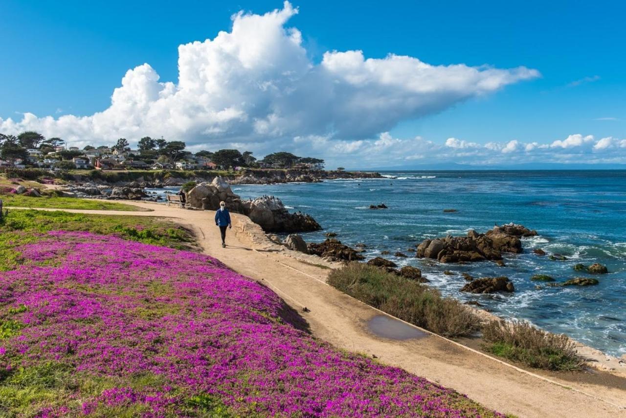 3707 Pacific'S Edge Sanctuary Home Carmel-by-the-Sea Exterior photo